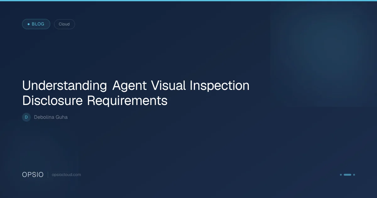 Agent Visual Inspection Disclosure Requirements | Opsio