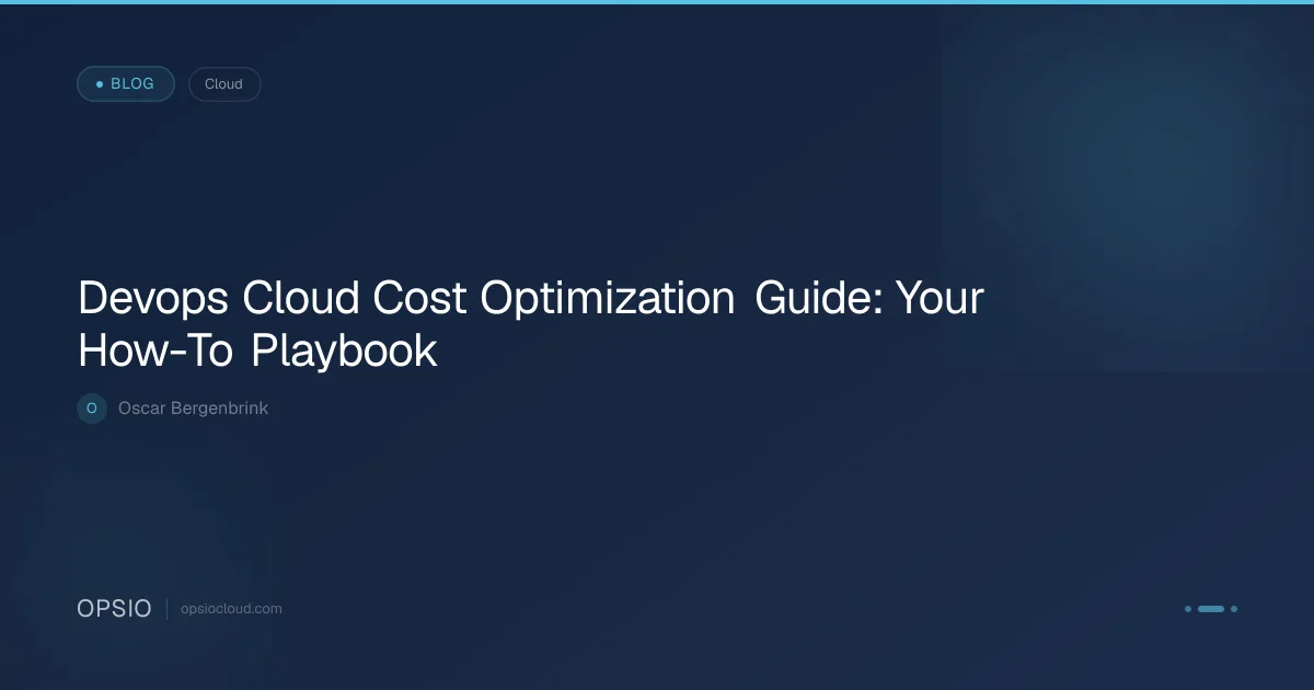 Devops Cloud Cost Optimization Guide: Your How-To Playbook | Opsio