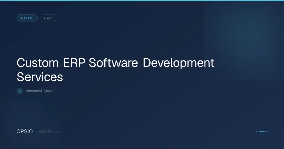 Custom ERP Software Development Services | Opsio