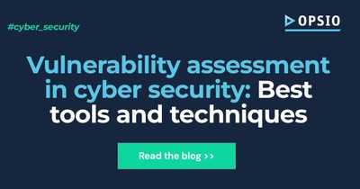 Vulnerability Assessment in Cyber Security
